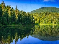 Jezioro, Las, Iglasty, Góry