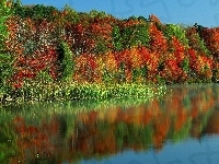 Jesienny, Jezioro, Las