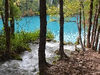 Jezioro, Strumień, Drzewa, Chorwacja, Las, Rzeka, Park Narodowy Jezior Plitwickich