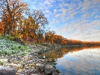 Kamienie, Jezioro, Drzewa