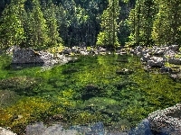 Kamienie, Jezioro, Lasy