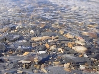 Jezioro, Kamienie