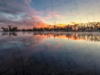 Drzewa, Wschód słońca, Chatfield Lake, Kolorado, Park stanowy, Jezioro, Stany Zjednoczone, Chatfield State Park