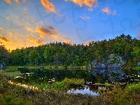 Jezioro, Las