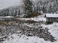 Las, Jezioro, Chata