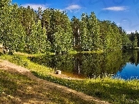 Las, Jezioro, Ścieżka