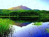 Jezioro, Góra, Las, Odbicie