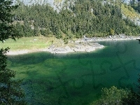 Las, Jezioro, Góry
