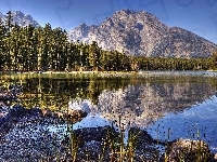 Las, Jezioro, Góry