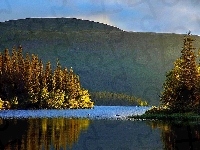 Las, Jezioro, Góry