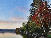 Las, Jezioro, Góry