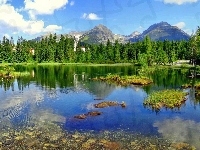 Las, Jezioro, Góry