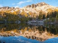 Jezioro, Drzewa, Góry, Las, Odbicie
