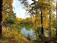 Las, Jezioro, Jesień