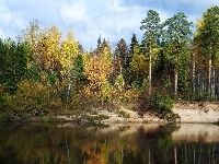 Las, Jezioro, Jesień
