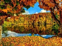 Jezioro, Jesienny, Las, Drzewa