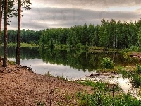 Jezioro, Lasek