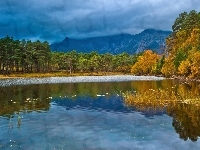 Lasy, Jezioro, Góry