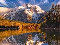 Lasy, Jezioro, Góry