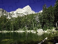 Lasy, Jezioro, Góry
