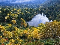 Jezioro, Jesień, Lasy, Wisconsin