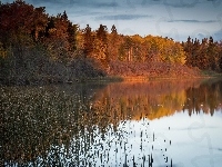 Lasy, Jezioro, Jesień