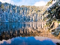 Jezioro, Zima, Lasy, Odbicie