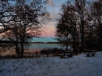 Śnieg, Jezioro, Drzewa