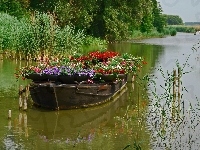 Łódka, Jezioro, Kwiaty