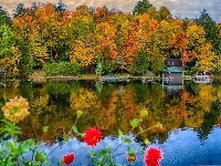 Jezioro, Jesień, Domek, Park, Kwiaty