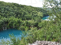 Park, Jezioro, Plitvickie, Europa, Chorwacja