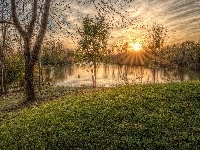 Jezioro, Drzewa, Promienie słońca