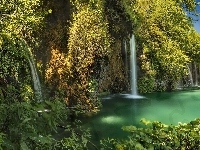 Wodospad, Plitvice, Rośliny, Chorwacja, Park Narodowy Jezior Plitwickich, Jezioro