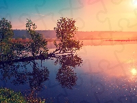 Jezioro, Drzewo, Mgła, Wschód słońca, Wędkarze