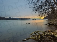 Jezioro, Wschód, Słońca, Drzewa