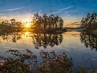 Jezioro, Norwegia, Wschód Słońca, Drzewa