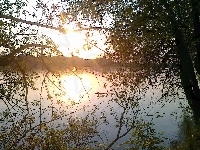 Jezioro, Zachód, Słońca, Drzewa