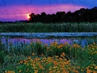 Jezioro, Zachód Słońca, Kwiaty