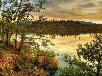 Jezioro, Zachód, Słońca, Las