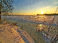 Jezioro, Śnieg, Zachód, Słońca, Drzewo