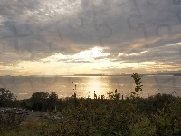 Jezioro, Samochody, Zachód, Słońca, Drzewa