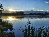 Słońce, Jezioro, Drzewa