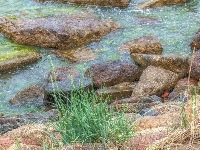 Jezioro, HDR, Kamienie, Woda, Trawa