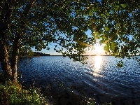 Jezioro, Drzewo, Wschód słońca