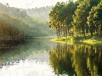 Wzniesienia, Jezioro, Drzewa