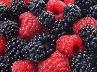 Maliny, Owoce, Leśne, Jeżyny