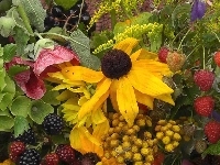 Maliny, Rudbekia, Jeżyny