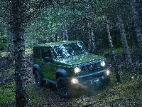 2019, Zielone, Suzuki Jimny