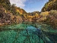 Jiuzhaigou, Jezioro, Lasy, Chiny