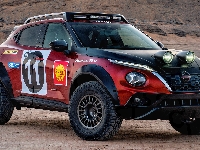 Nissan Juke Rally Tribute Concept